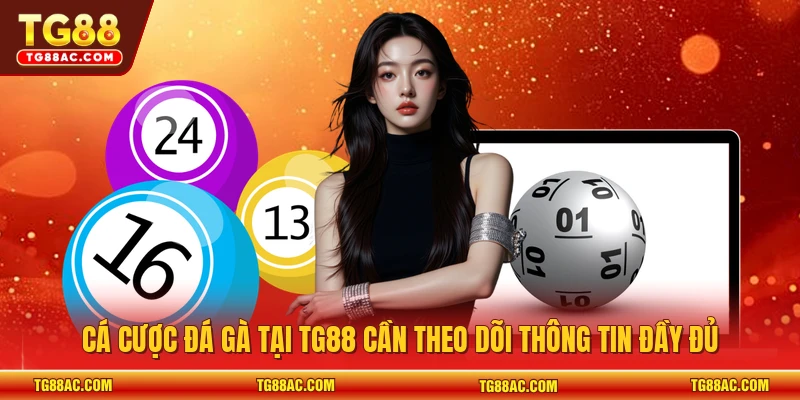 Cá cược đá gà tại TG88 cần theo dõi thông tin đầy đủ 