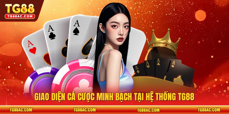 Giao diện cá cược minh bạch tại hệ thống TG88 