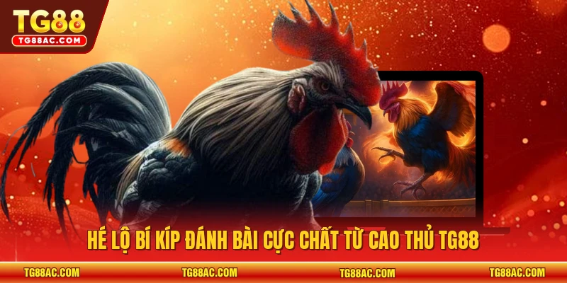 Hé lộ bí kíp đánh bài cực chất từ cao thủ TG88